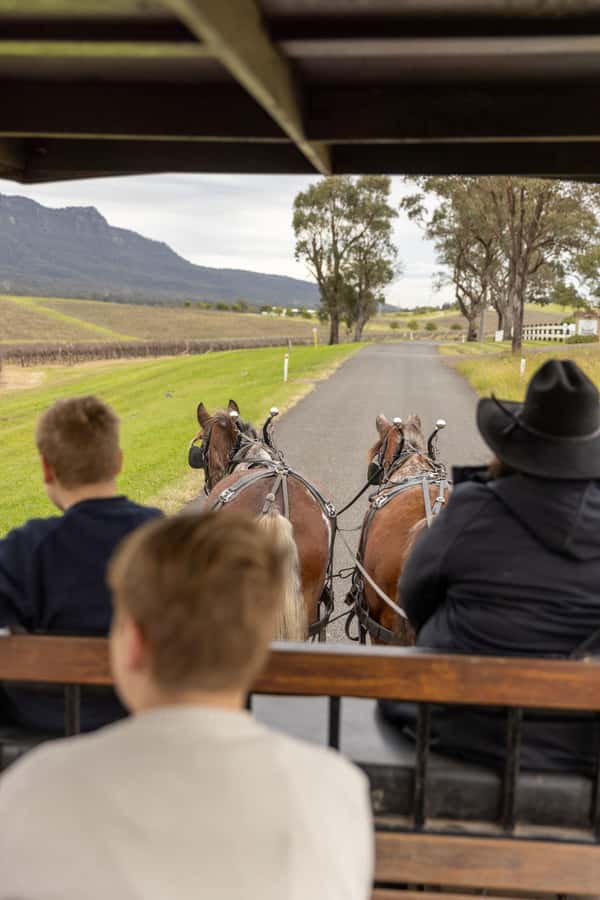 Pokolbin: Harvest the Hunter Horse Drawn Carriage Tour 3hrs - At a glance