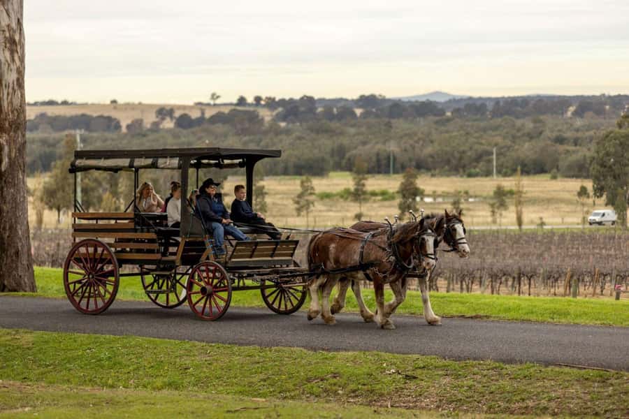 Pokolbin: Harvest the Hunter Horse Drawn Carriage Tour 3hrs - Why a horse carriage works in Pokolbin