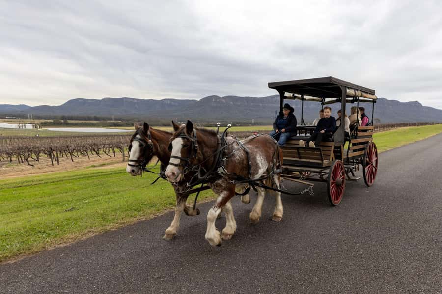 Pokolbin: Harvest the Hunter Horse Drawn Carriage Tour 3hrs - The first winery: tasting with time to ask questions