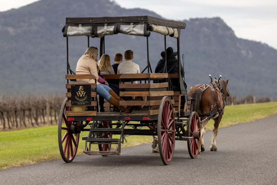 Pokolbin: Harvest the Hunter Horse Drawn Carriage Tour 3hrs - Starting at Wine House Hunter Valley