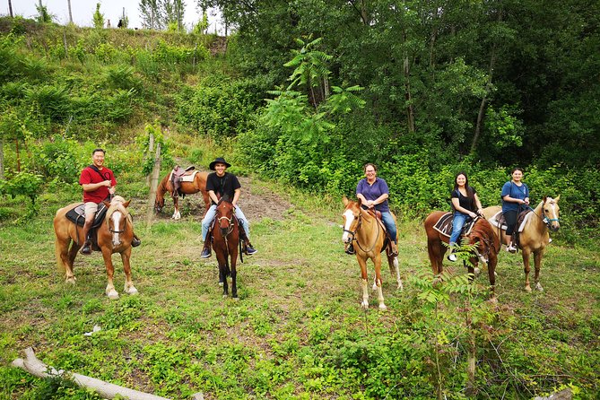 Pompeii Guided Tour & Horse Riding on Vesuvius with Lunch - Should you book it?