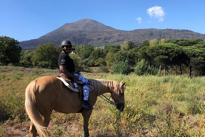Pompeii Guided Tour & Horse Riding on Vesuvius with Lunch - A farm lunch on the volcanic slopes