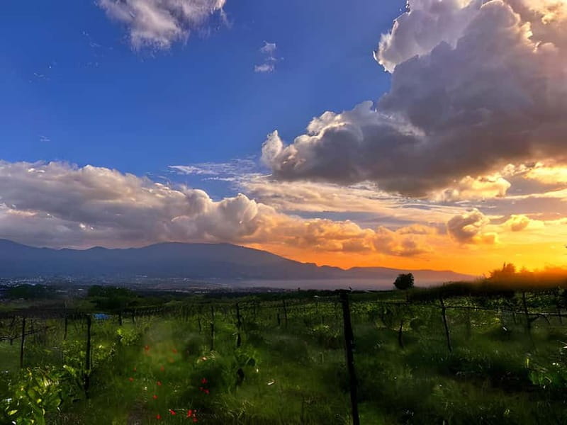 Pompeii: Mount Vesuvius Night Horseback Ride and Italian BBQ - One hour on horseback beneath Mount Vesuvius
