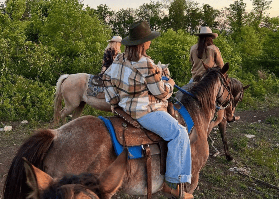 Pompeii: Mount Vesuvius Night Horseback Ride and Italian BBQ - Is $101.96 a good value?