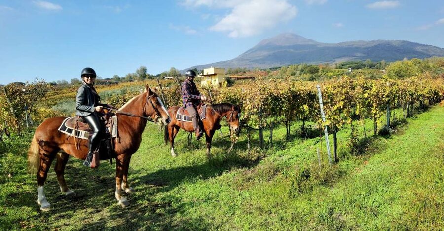 Pompeii: Ruins Tour and Mount Vesuvius Horseback Ride - Two hours inside Pompeii with an archaeologist