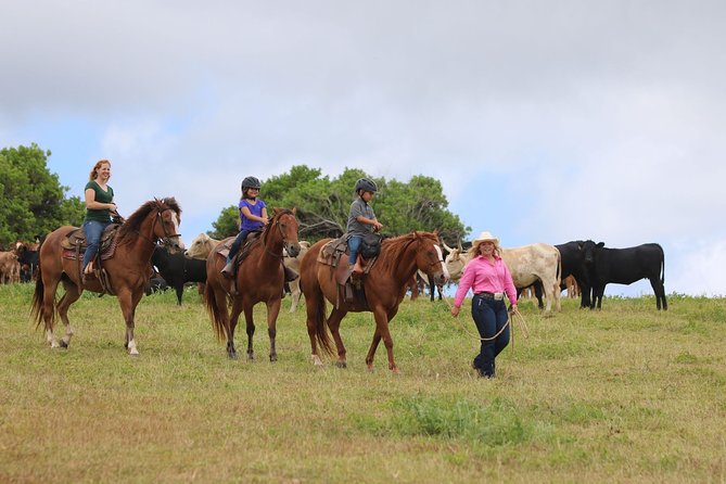 Pony Rides For Kids - The Best Part May Come After the Saddle