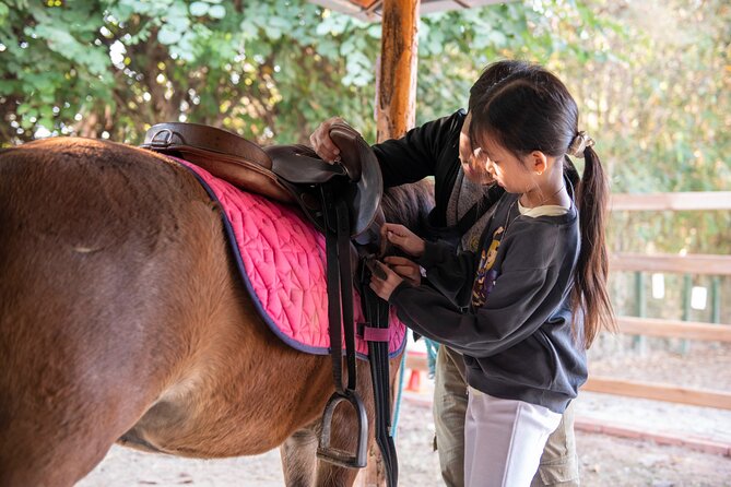 Pony Riding in Luang Prabang - Meeting the Hmong horse before you ride