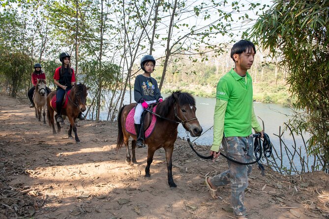 Pony Riding in Luang Prabang - Price and what you receive for $59