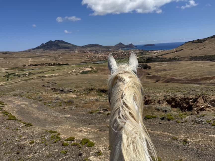 Porto Santo Island: Horse Riding - The $55 price and what you receive