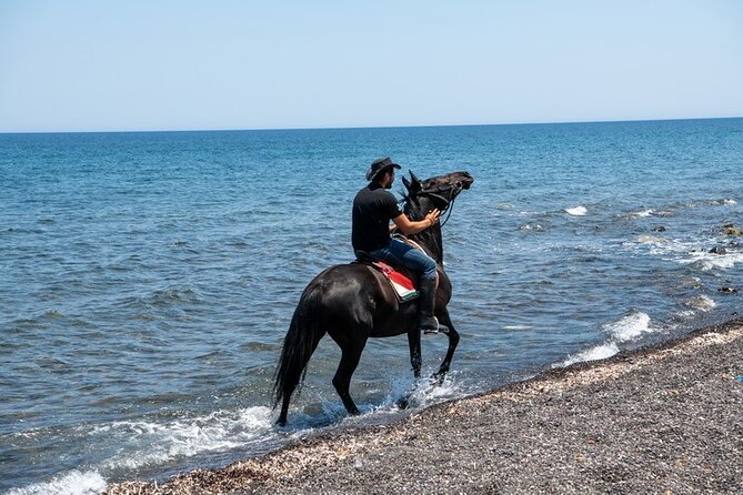 Premium Secluded Black Beach Horseback Riding Tour in Santorini - Who will enjoy this ride most?