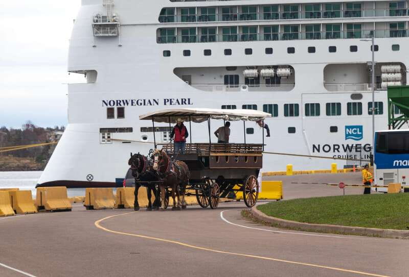Prince Edward Island: Horse-Drawn Carriage Tour - Rolling Into Charlottetown Behind Two Horses