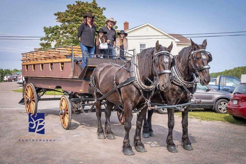 Prince Edward Island: Horse-Drawn Carriage Tour - Founders Hall Is the Starting Point