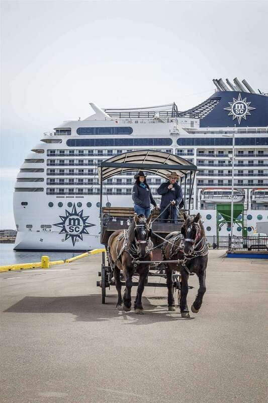 Prince Edward Island: Horse-Drawn Carriage Tour - Stories That Reach Beyond the Carriage Route