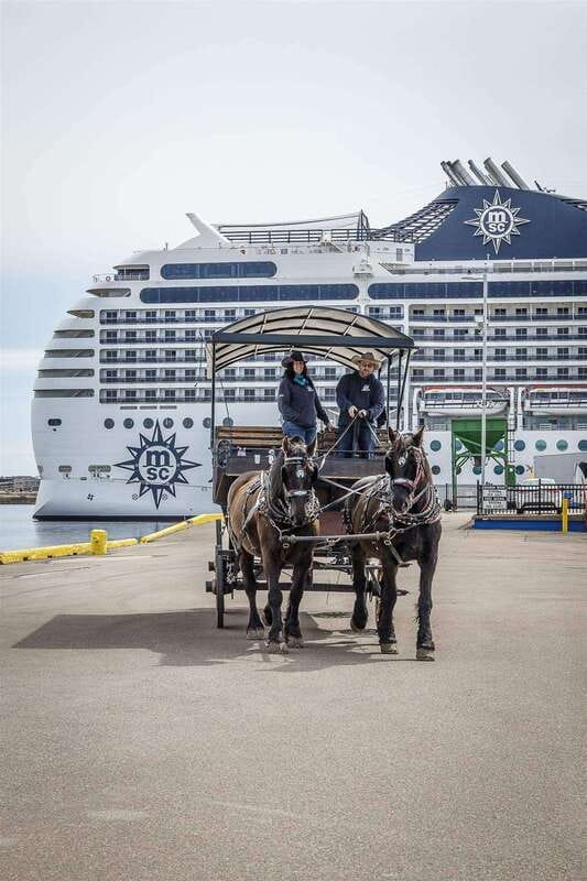 Prince Edward Island: Horse-Drawn Carriage Tour - Why the 40-Minute Length Works
