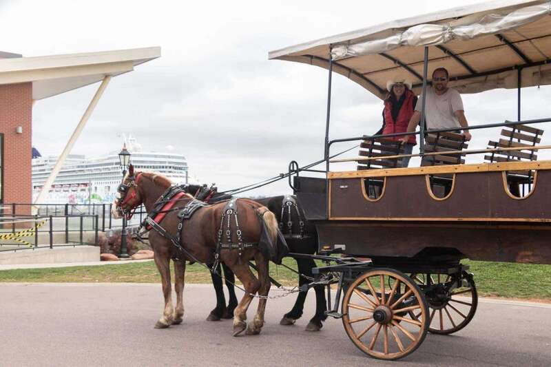 Prince Edward Island: Horse-Drawn Carriage Tour - A Romantic Ride That Also Works for Families
