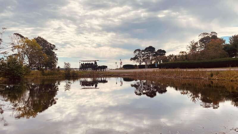 Prince Edward Island: Horse-Drawn Carriage Tour - What the Price Includes at $23