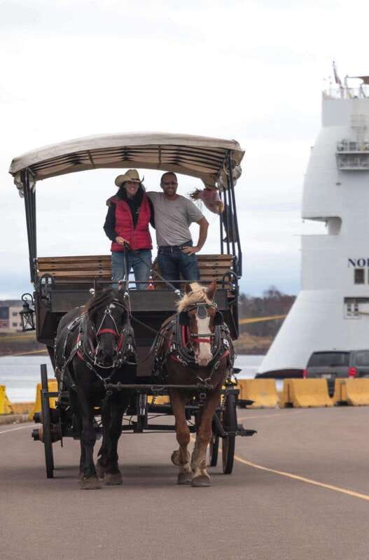 Prince Edward Island: Horse-Drawn Carriage Tour - Planning for Prince Edward Island Weather