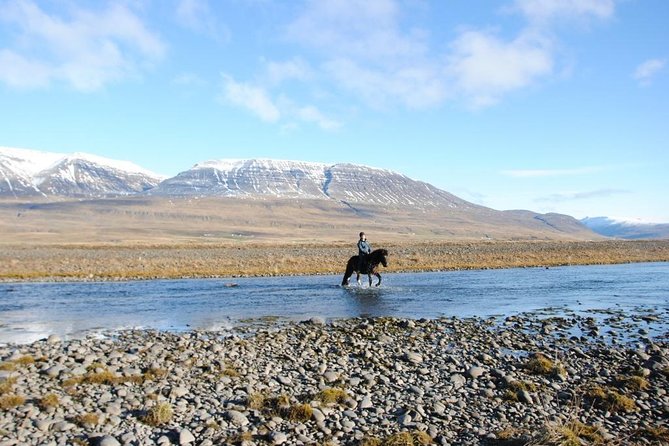 Private 3-Hour Horseback Riding Tour - A three-hour ride through rural Iceland