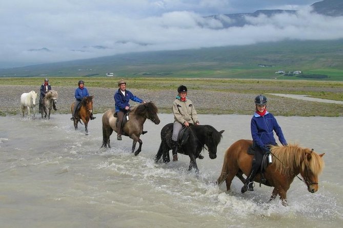 Private 3-Hour Horseback Riding Tour - Meeting at Hestasport in Varmahlíð