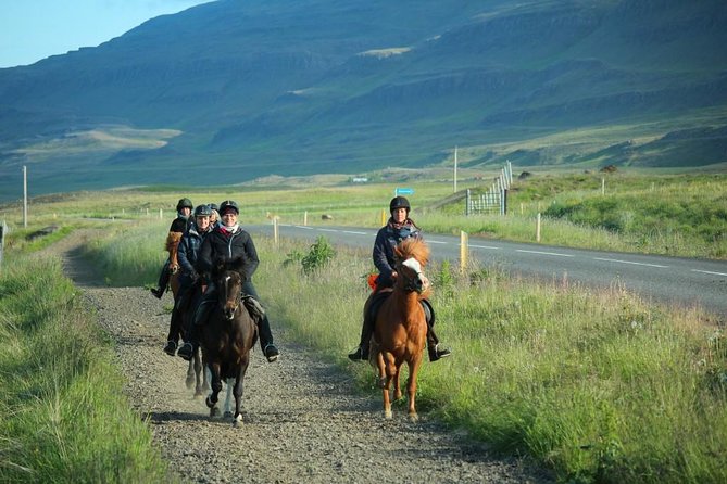 Private 3-Hour Horseback Riding Tour - What the route can include