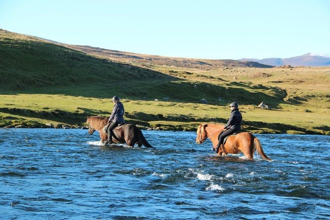 Private 3-Hour Horseback Riding Tour - Is the three-hour duration right for you?