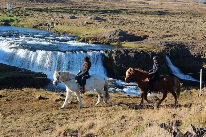 Private 3-Hour Horseback Riding Tour - What you are paying for at $230.45