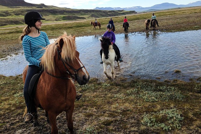 Private 3-Hour Horseback Riding Tour - Why Icelandic horses change the ride