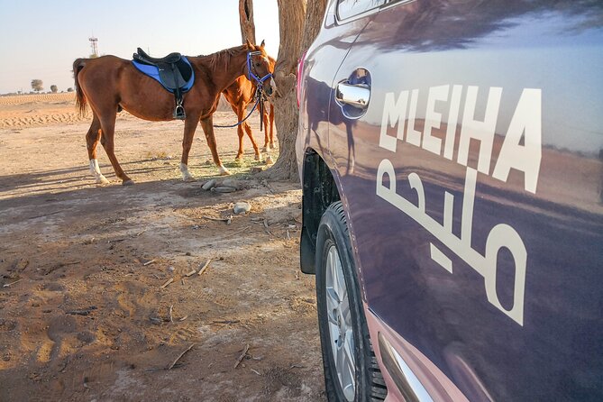 Private 4x4 Mleiha Desert Safari Horse Riding with Museum Visit - Why Mleiha feels different from a standard Dubai safari