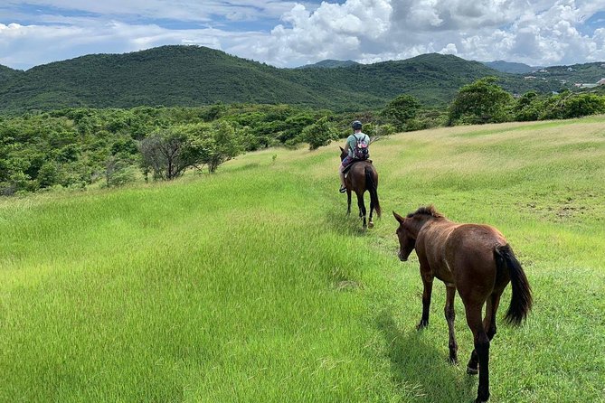 Private Advanced Horseback Beach Ride with Sandy Hoofs St. Lucia - Key points to know before you book