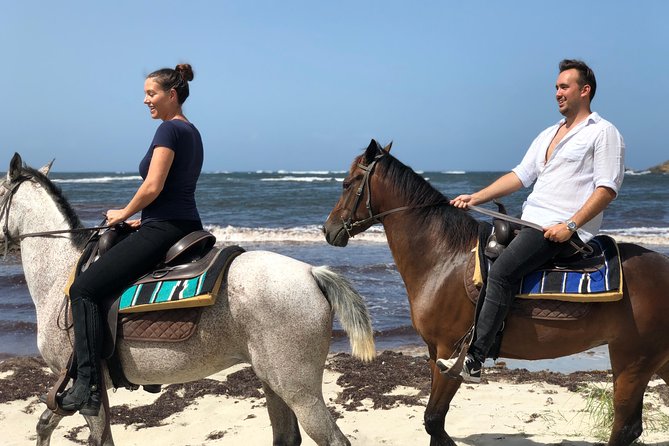 Private Advanced Horseback Beach Ride with Sandy Hoofs St. Lucia - Meeting the horses at Sandy Hoofs