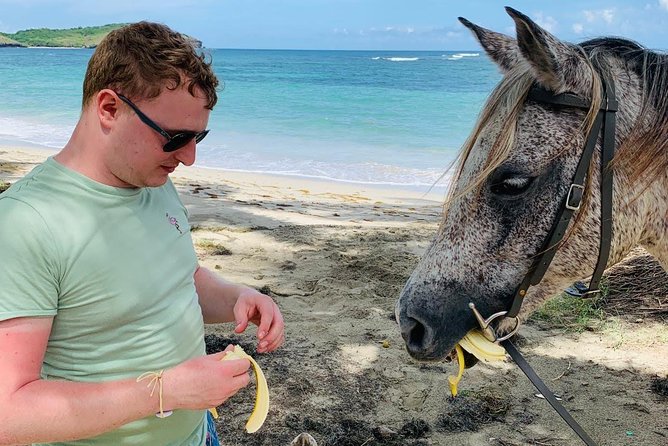 Private Advanced Horseback Beach Ride with Sandy Hoofs St. Lucia - Cantering and galloping along the sand