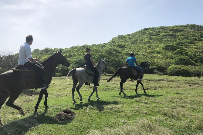 Private Advanced Horseback Beach Ride with Sandy Hoofs St. Lucia - Riding out toward Lapin Bay