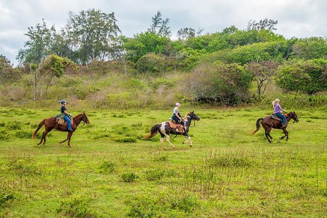 Private Advanced Trail Ride - Key points to know before you book