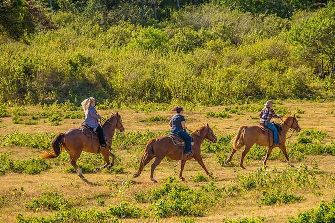 Private Advanced Trail Ride - Gunstock Ranch and the 600-acre setting