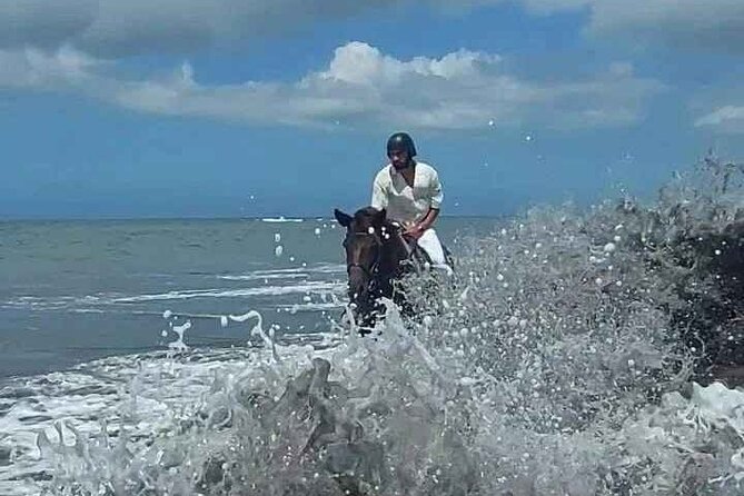 Private Bali Horse riding at saba beach - Why sunset is the best time to ride