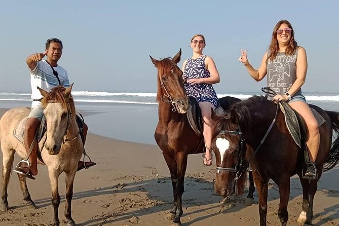 Private Bali Horse Riding In Seminyak Beach - Is $42.99 a fair price?