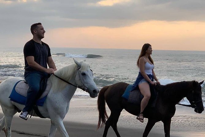 Private Bali Horse Riding In Seminyak Beach - Who will enjoy this beach ride most?