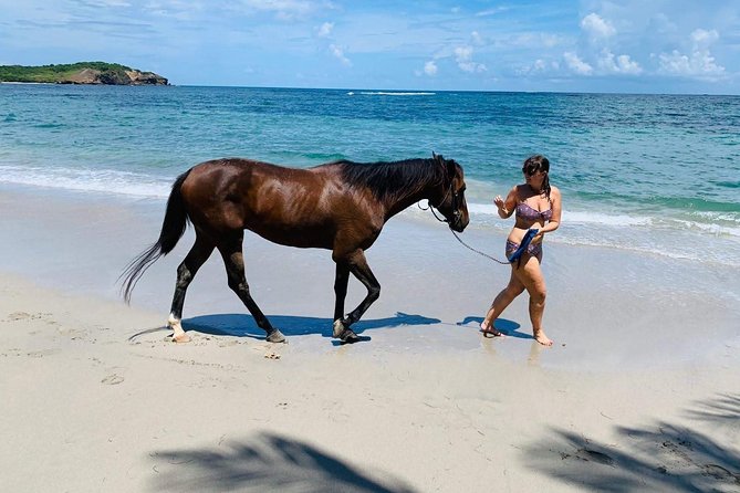Private Beach Horseback Ride with Sandy Hoofs St. Lucia - Rain, seaweed, and the best season to ride