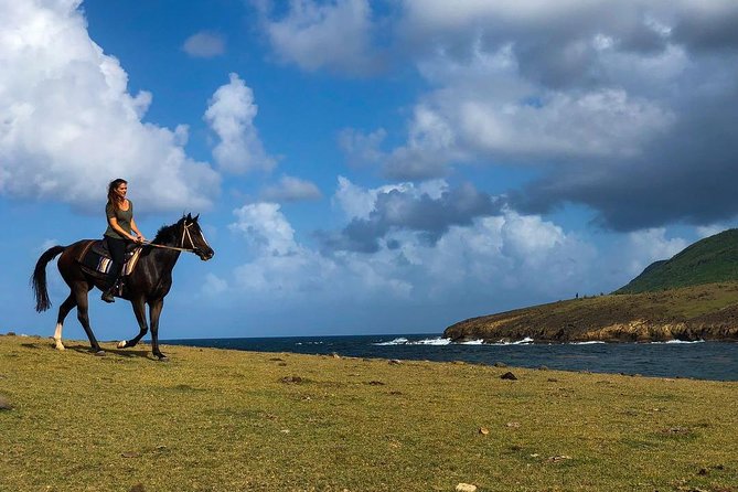 Private Beach Horseback Ride with Sandy Hoofs St. Lucia - Two beaches and views toward Anse La Voute