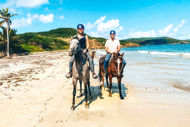 Private Beach Picnic Horseback Ride with Sandy Hoofs St. Lucia - Key points to know before you book