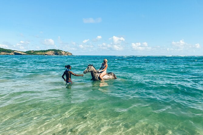 Private Beach Picnic Horseback Ride with Sandy Hoofs St. Lucia - What the horse swim is really like