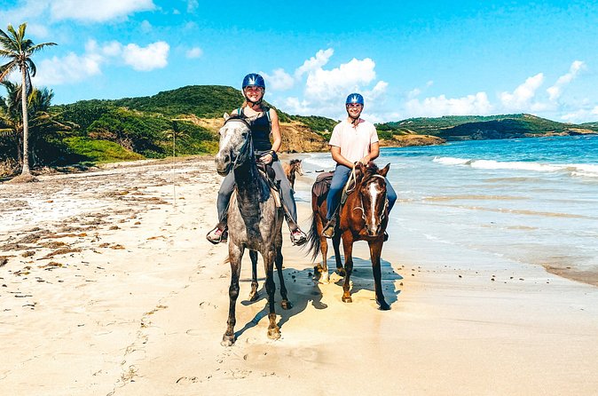 Private Beach Picnic Horseback Ride with Sandy Hoofs St. Lucia - Horse care is an important part of the experience