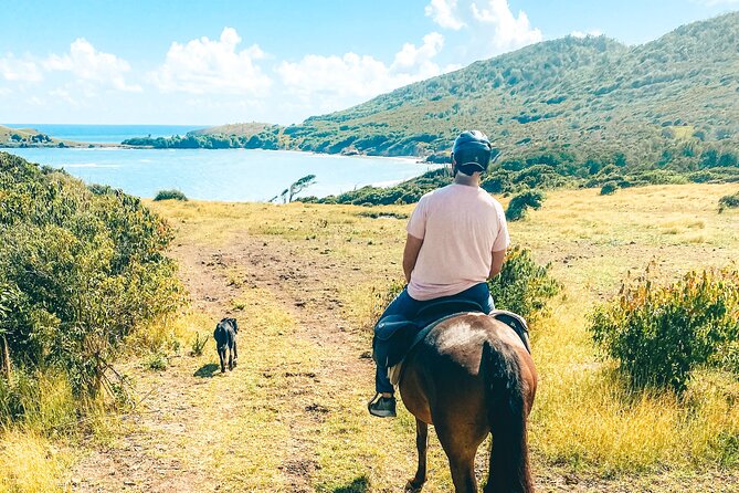 Private Beach Picnic Horseback Ride with Sandy Hoofs St. Lucia - Best suited to couples, beginners, and horse lovers