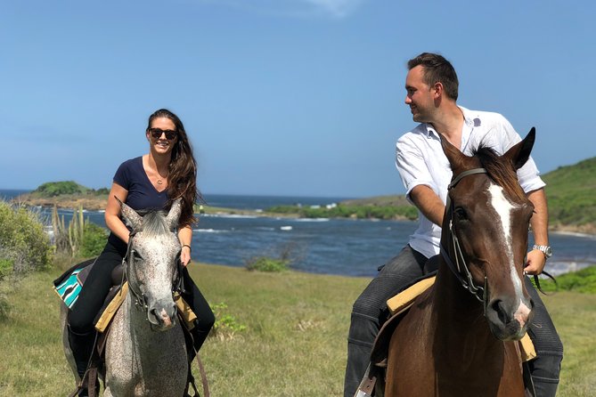 Private Beach Picnic Horseback Ride with Sandy Hoofs St. Lucia - Country trails, cows, and wide coastal views