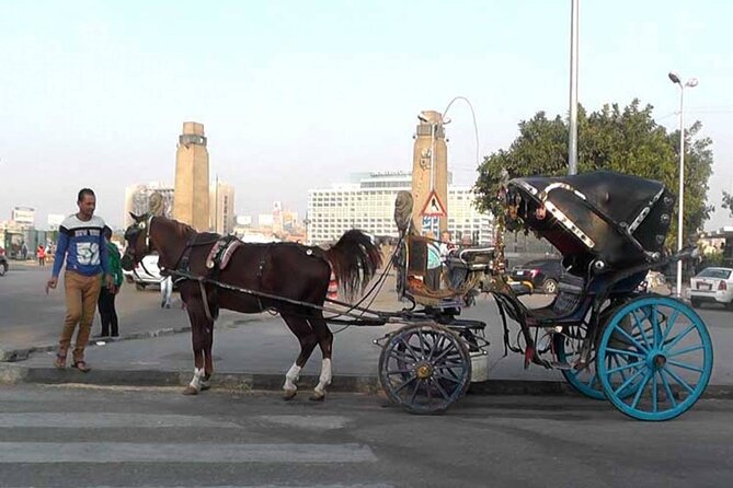 Private Cairo City Tour Day or Night include Meal and Carriage Horse - Key points at a glance