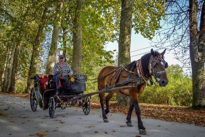 Private Carriage Ride in Vrelo Bosne Nature Park - Key points at a glance