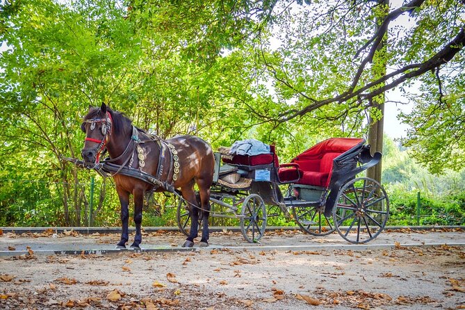 Private Carriage Ride in Vrelo Bosne Nature Park - Sarajevo’s old-fashioned route to Vrelo Bosne