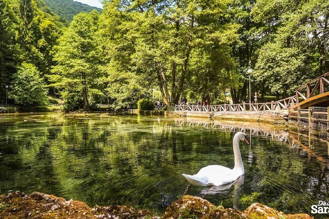 Private Carriage Ride in Vrelo Bosne Nature Park - Reaching the springs at Vrelo Bosne