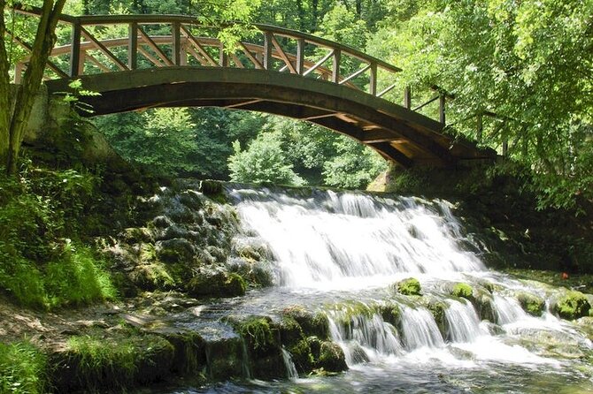 Private Carriage Ride in Vrelo Bosne Nature Park - The return carriage ride