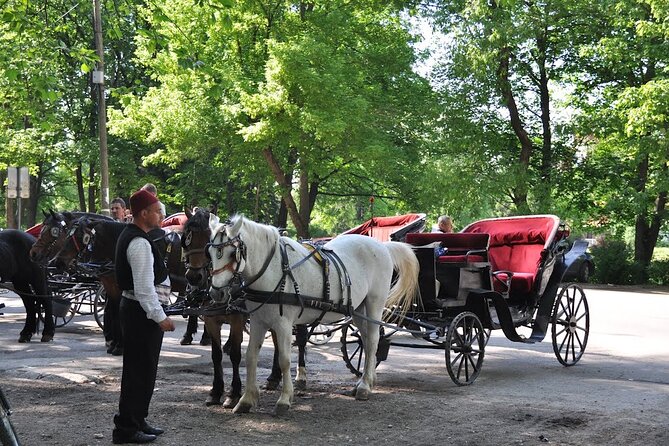 Private Carriage Ride in Vrelo Bosne Nature Park - Is $95.78 per person a fair price?